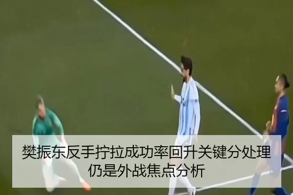 樊振东反手拧拉成功率回升关键分处理仍是外战焦点分析
