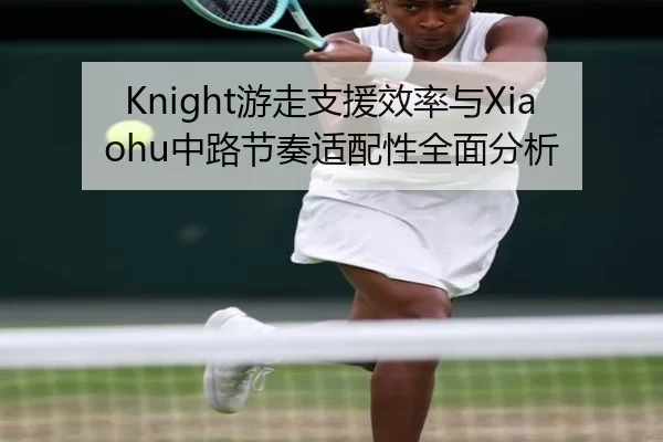 Knight游走支援效率与Xiaohu中路节奏适配性全面分析